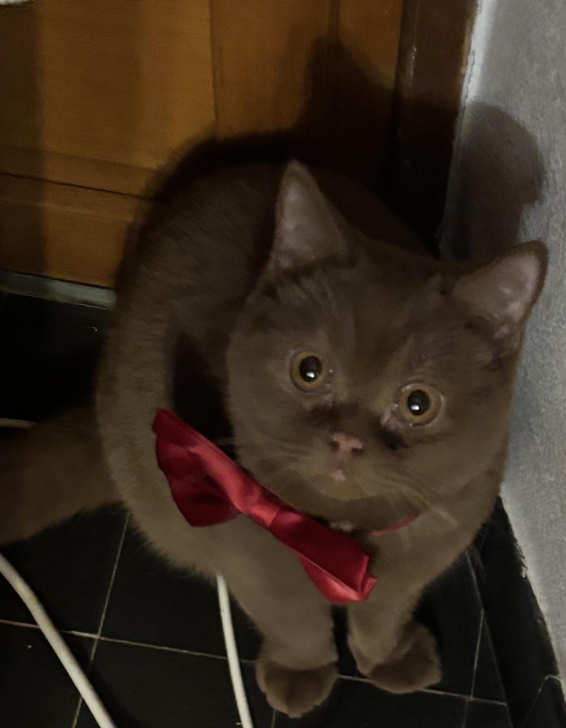 Pablo